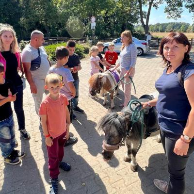 3a2d8e5d 2c71 4708 8117 D0740e052a44