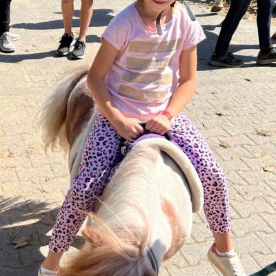 6a0ba1bc F009 4d44 B0bc Babc2533faf3