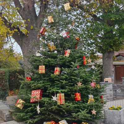 7ae3640d Fae4 4f84 A7d4 074a6f53d80a